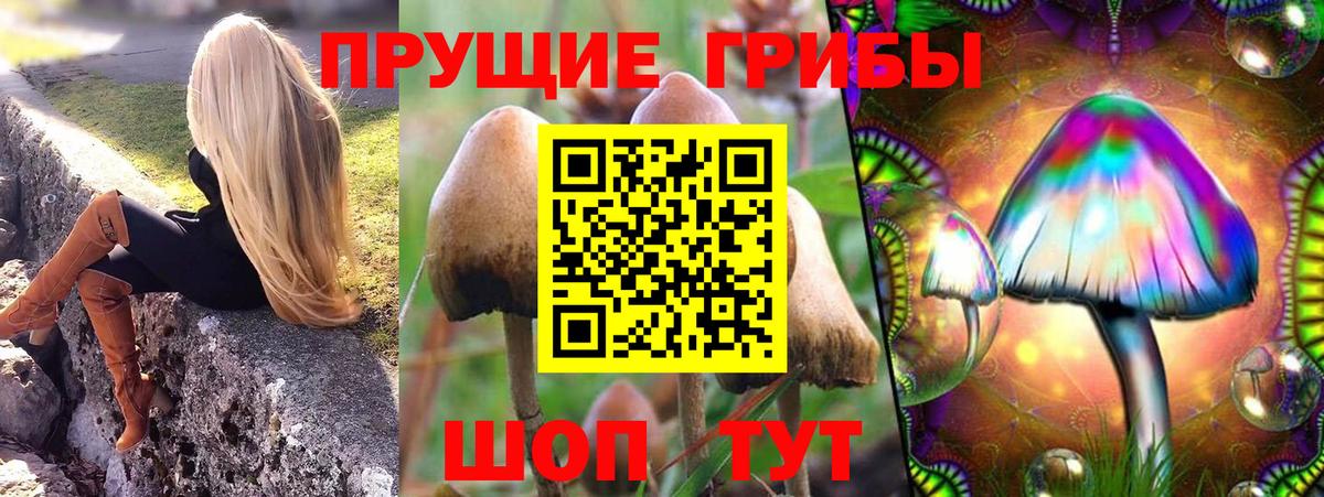 Семёнов  Псилоцибиновые грибы Magic Shrooms  Псилоцибиновые грибы мухоморы  Вход с VPN 