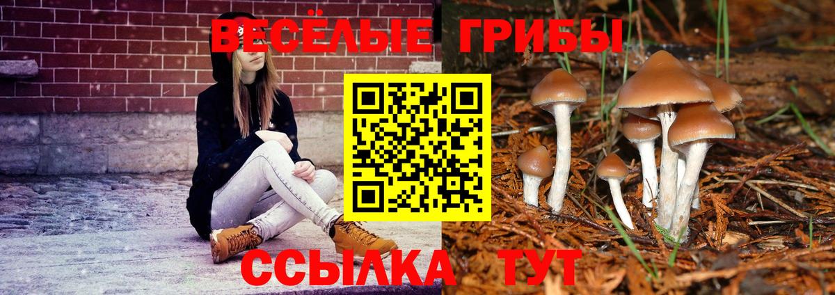 Псилоцибиновые грибы GOLDEN TEACHER Семёнов